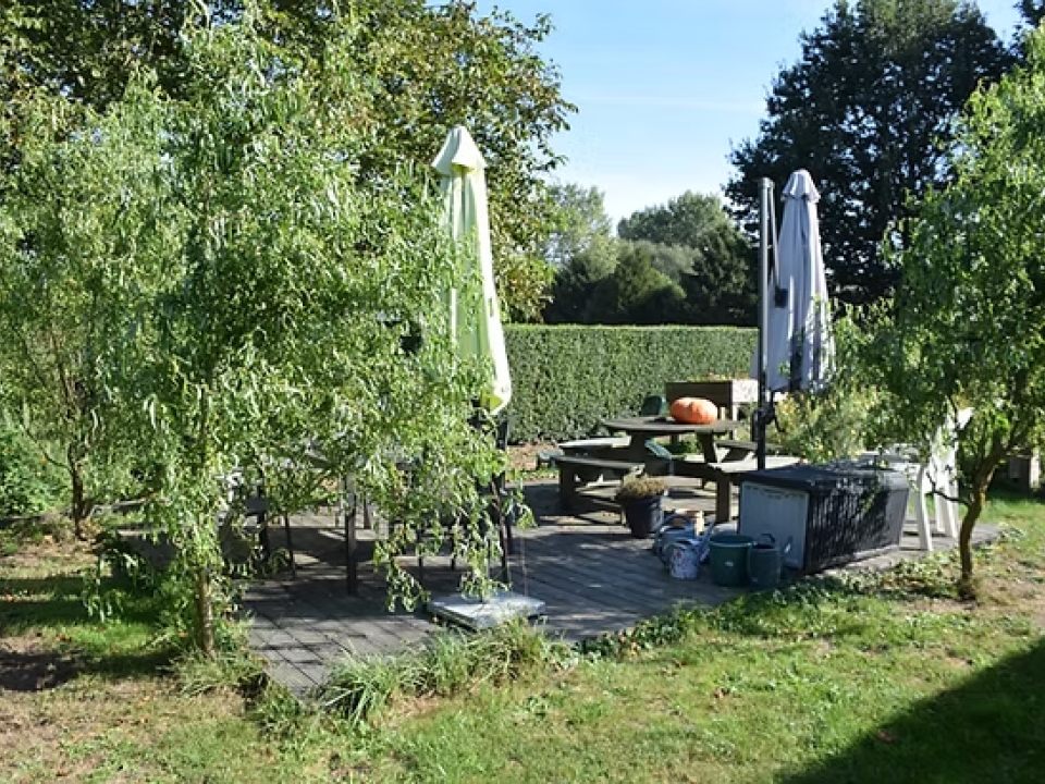 tuin