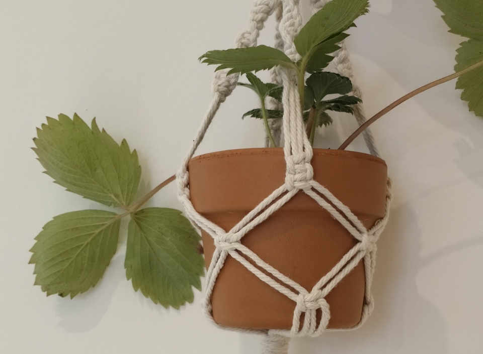 macramé plantenhanger